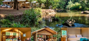 3 Night Special...  to 15 March 2022... at our Africamps Glamping Tents on the Sabie River